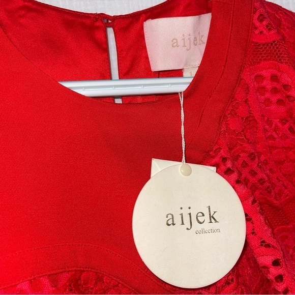 Aijek Mae Ruffled Lace Mini Dress in Rouge NWT - Picture 6 of 8